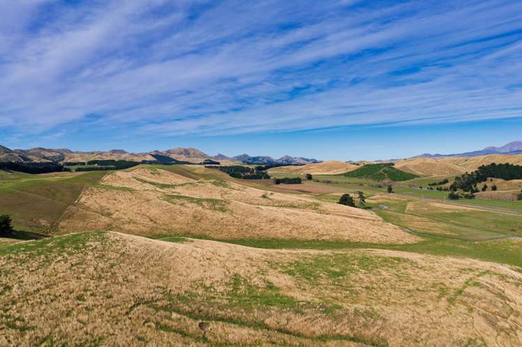 Corner Marfells Beach and Clifford Roads Lake Grassmere_18