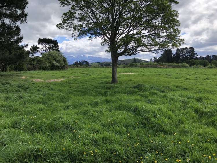 1466 Woodstock Road Oxford_17