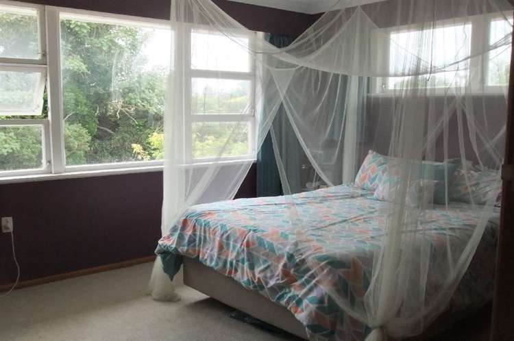 41 Buller Road Levin_7