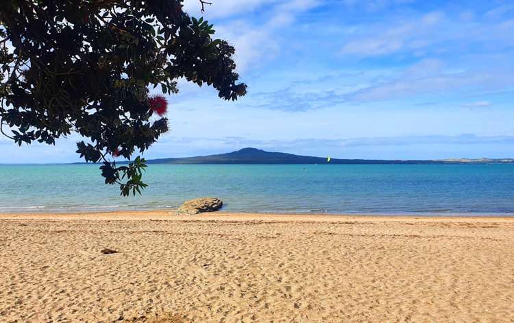 31c Geraldine Place Kohimarama_18