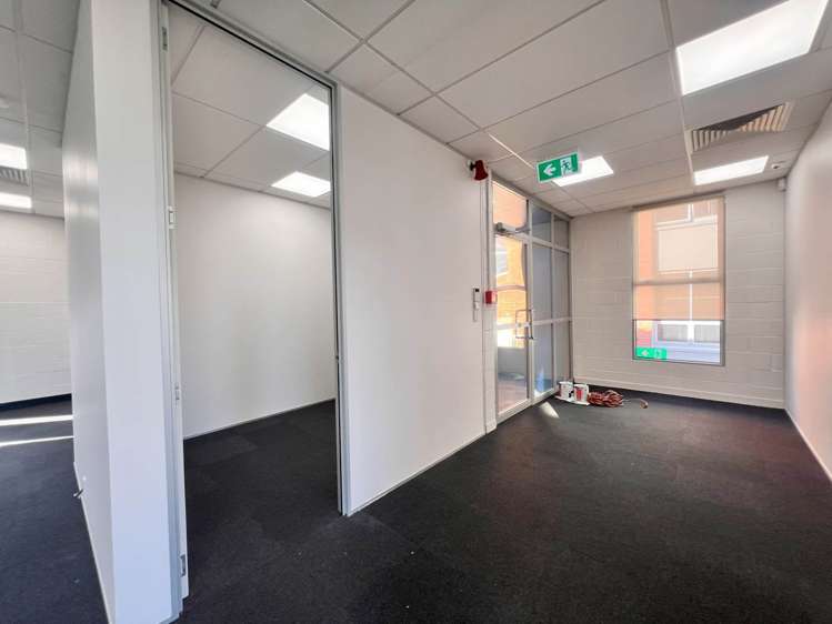 28 Heather Street Parnell_8