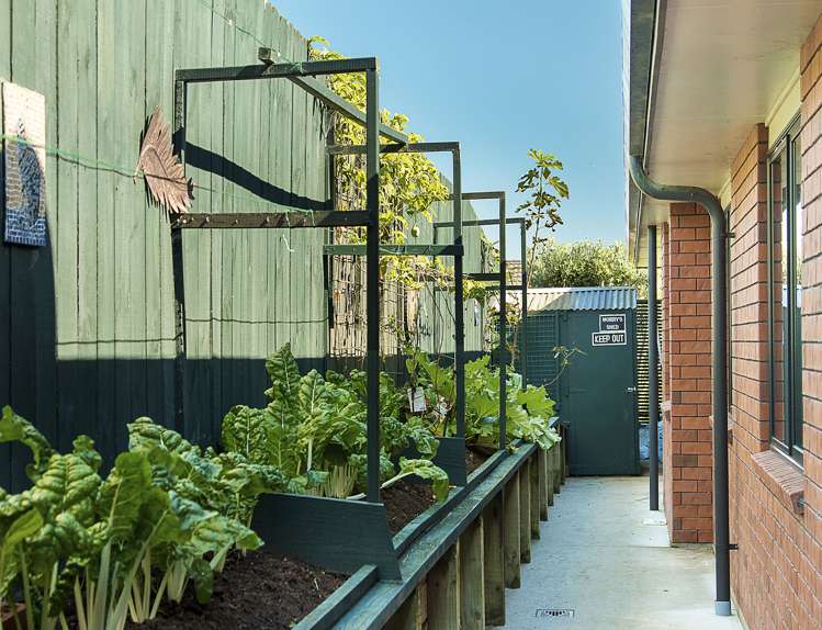 1 Ludlow Place Pukekohe_14