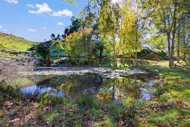 822 Motukawa Rd Inglewood_3