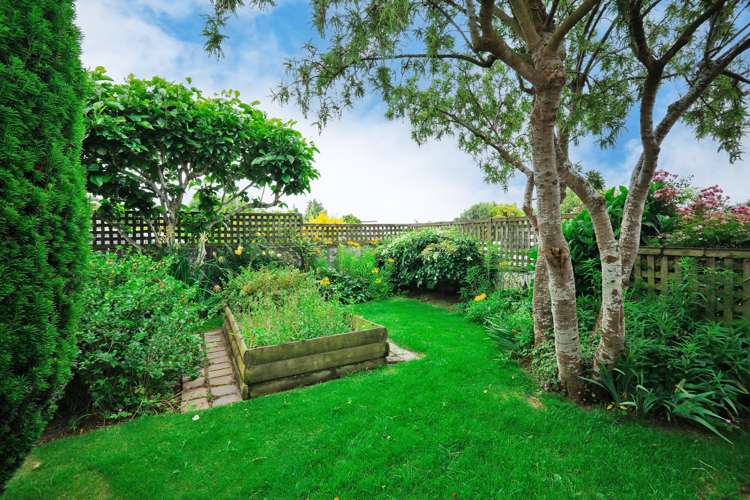 333 Layard Street Waverley_6