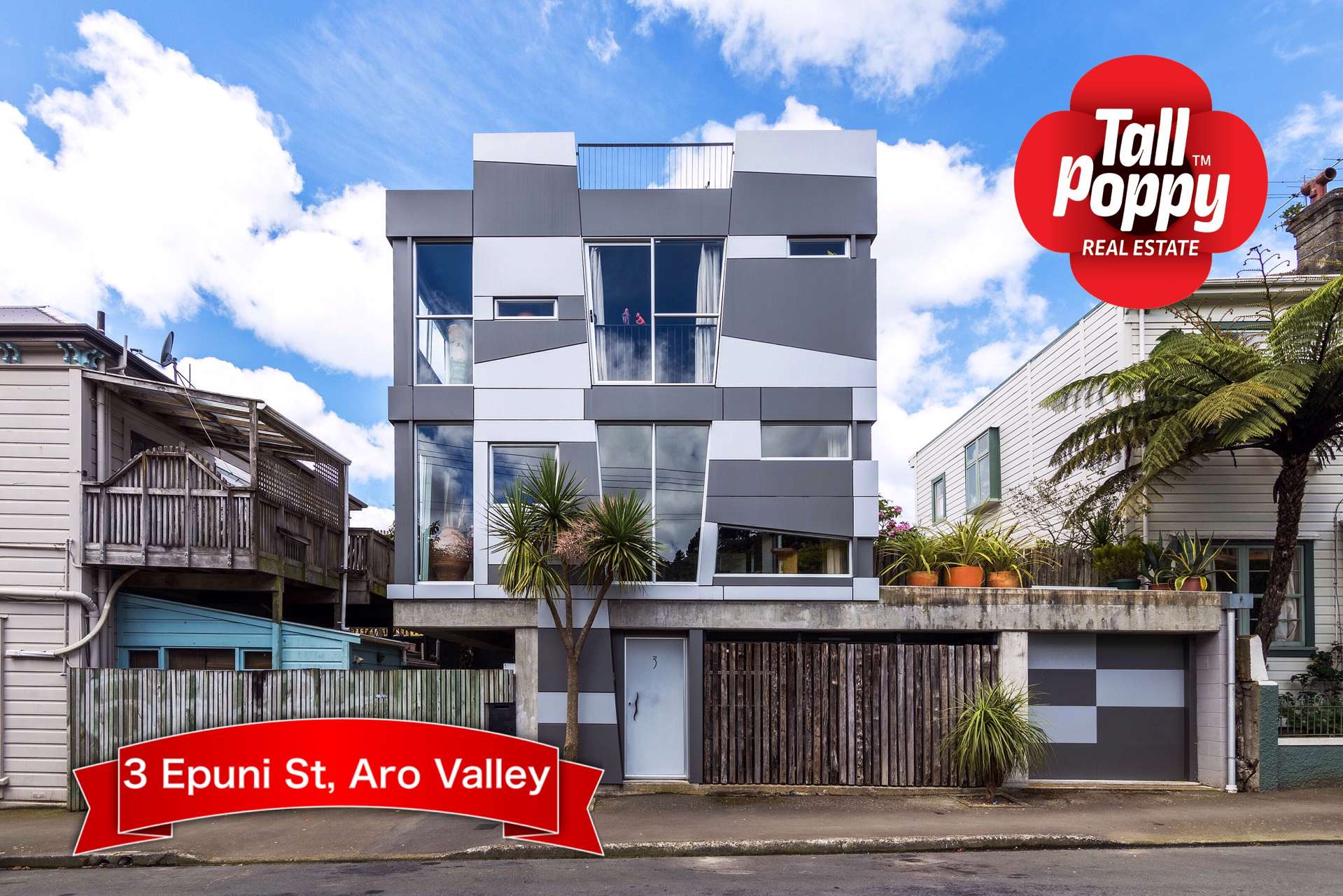 3 Honiana Te Puni Street Aro Valley_0