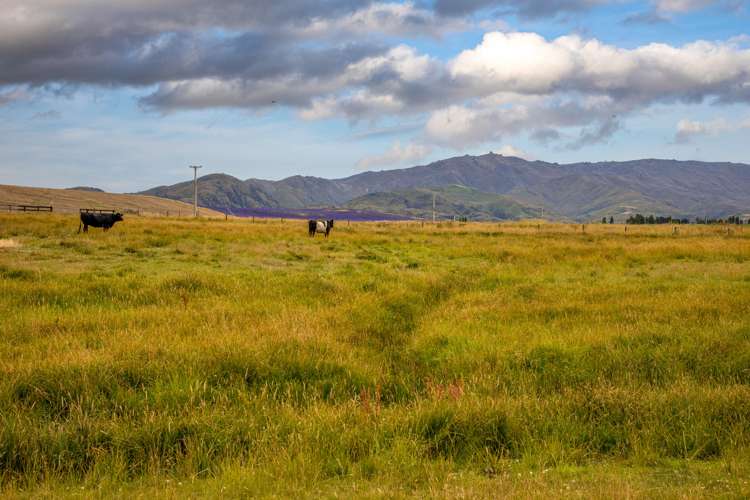 326 Golden Road Alexandra_24