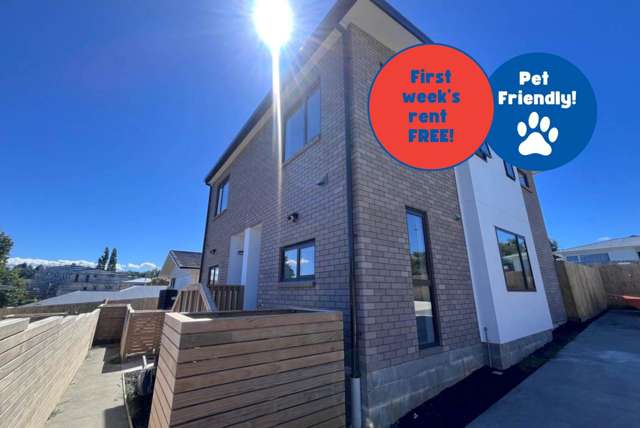 8E Kaikoura Street Henderson_1