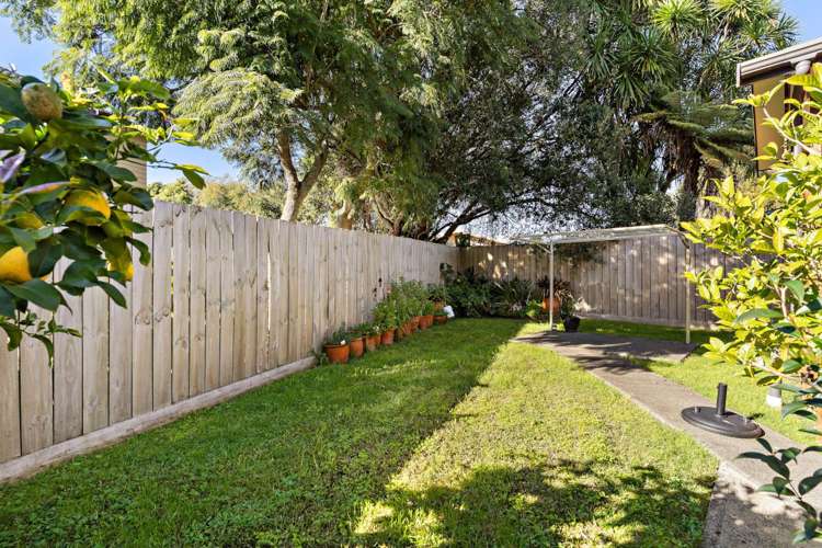 3/10 Springbank Lane Te Atatu Peninsula_13