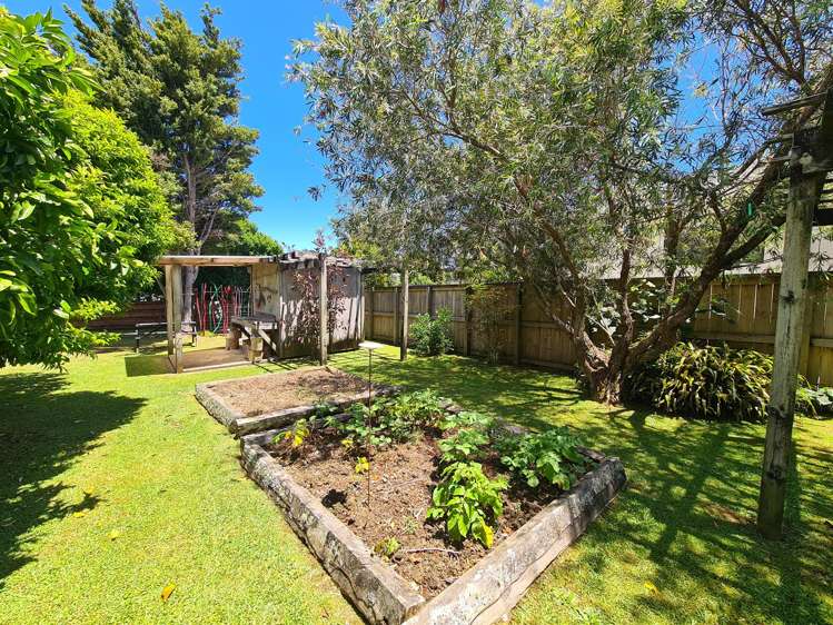 215 Lillis Lane Coromandel_8