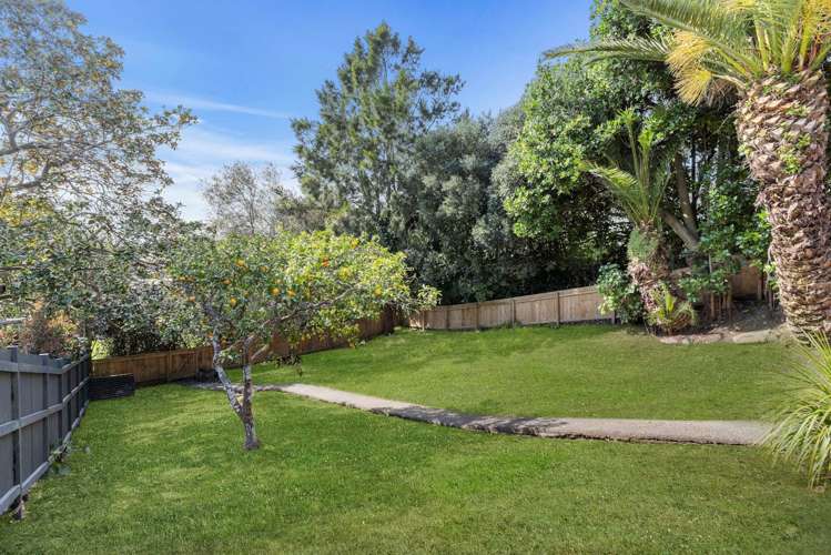 43 Dryden Street Grey Lynn_25