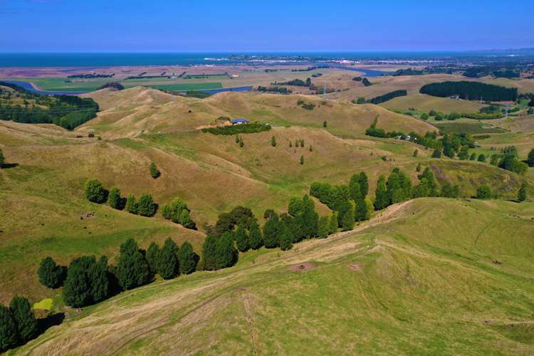 754 Puketitiri Road Puketapu_20