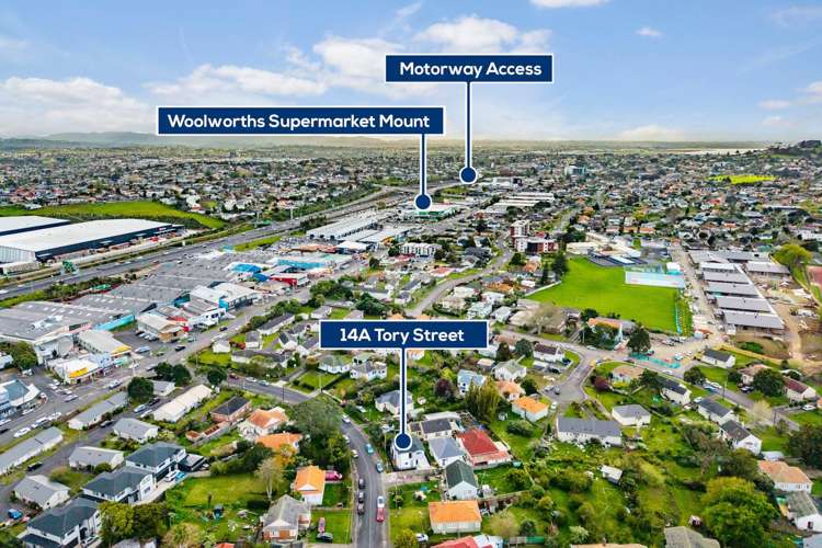 14A Tory Street Mt Roskill_24