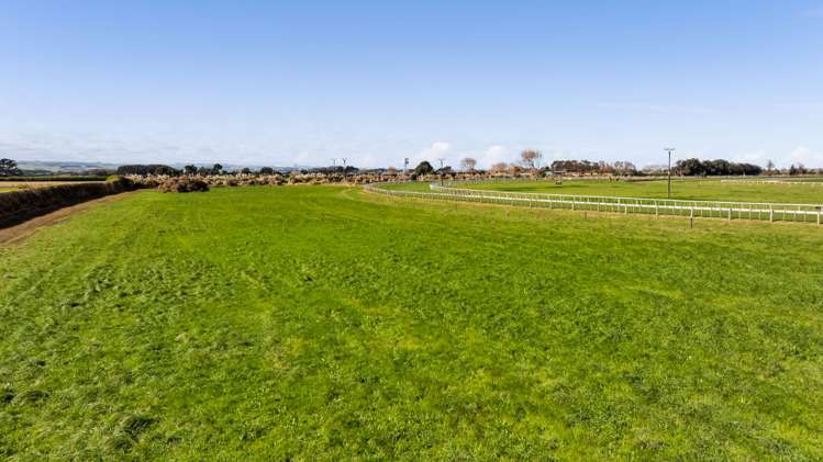 Waihi Road Hawera_10