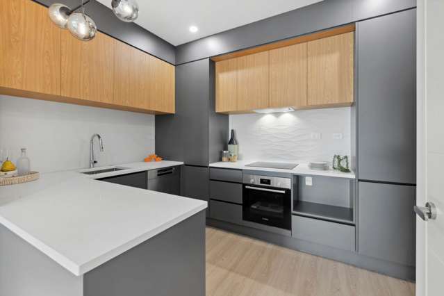 Lot 17, 38 Fairlands Avenue Waterview_4