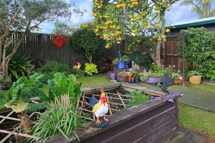 137 Flanshaw Road Te Atatu South_5