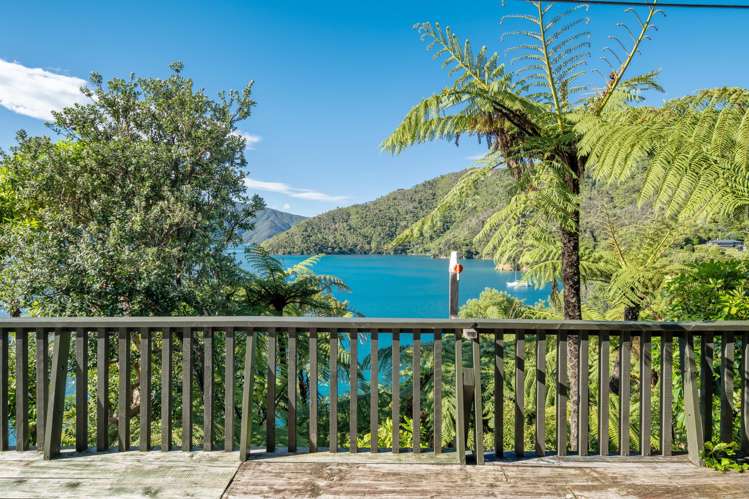 Lot 1 Blackwood Bay Queen Charlotte Sound_12