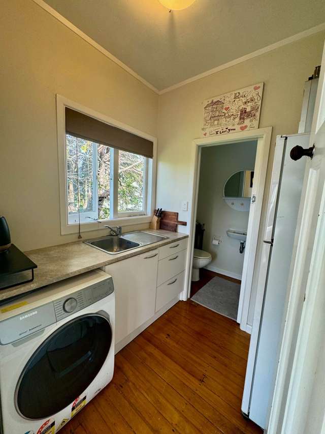 207A Campbell Road Greenlane_3