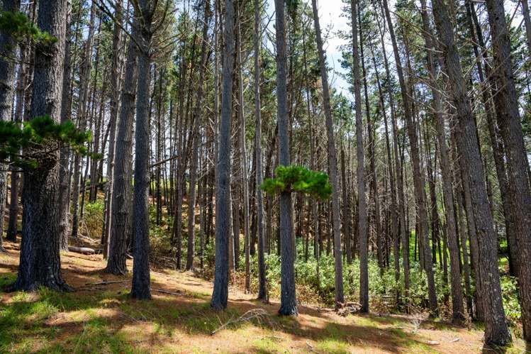 22 Timperley Road Parua Bay_29