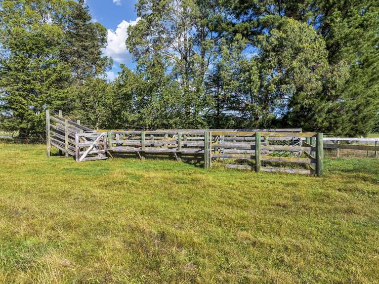 1136 Tram Road Swannanoa_44