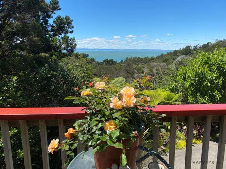 38 Rauhuia Crescent Parau_0