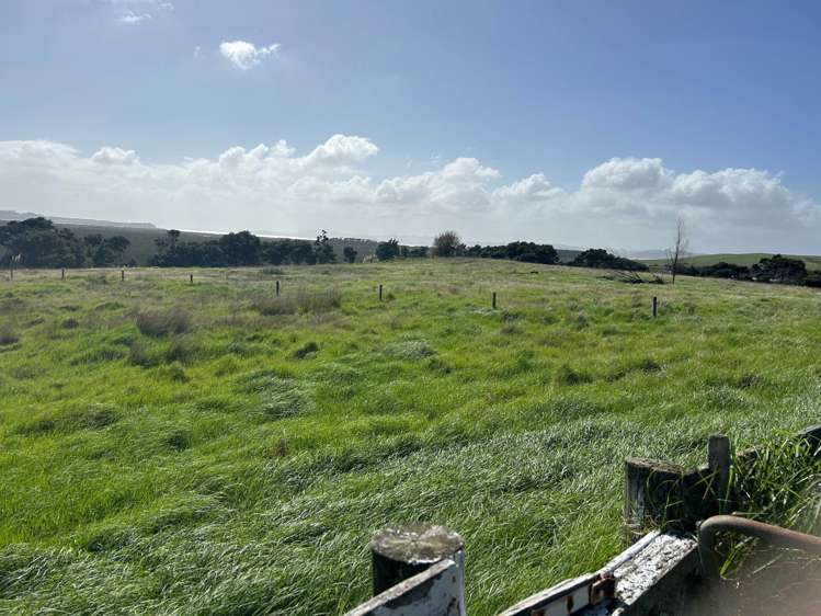 544 South Head Road South Head_17