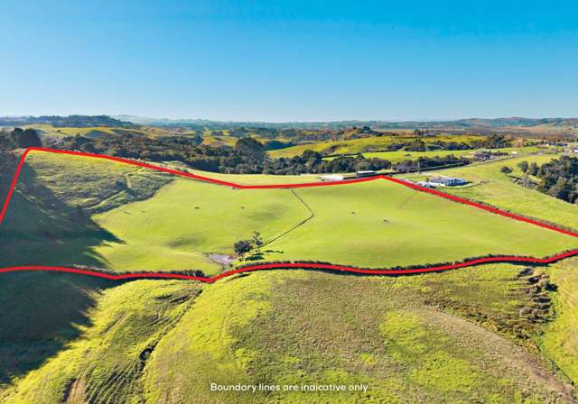 318 Settlement Road Pukekohe_3