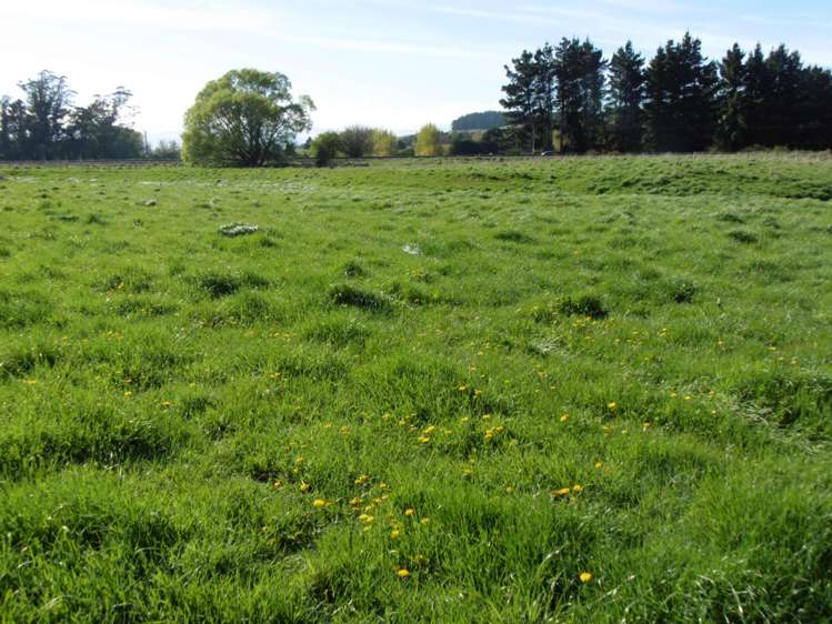 5326 Hampden-Palmerston Road Palmerston_6