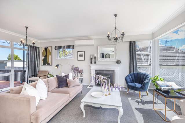 35 Chester Street Levin_2