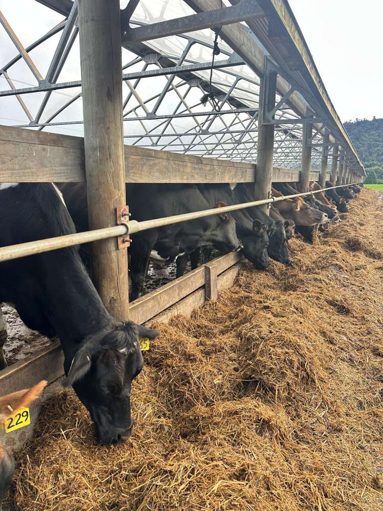 451 Umere Road Karamea_15