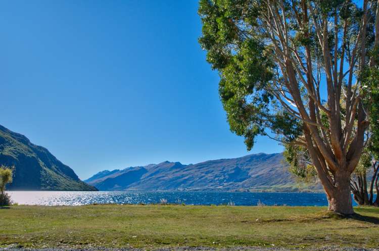 24 Cornwall Street Kingston_6