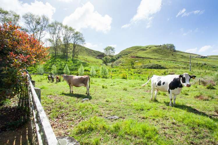 526 Waitetuna Valley Road Raglan_6