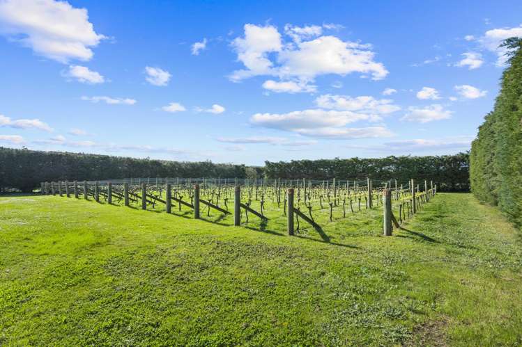 190 Regent Street Martinborough_29