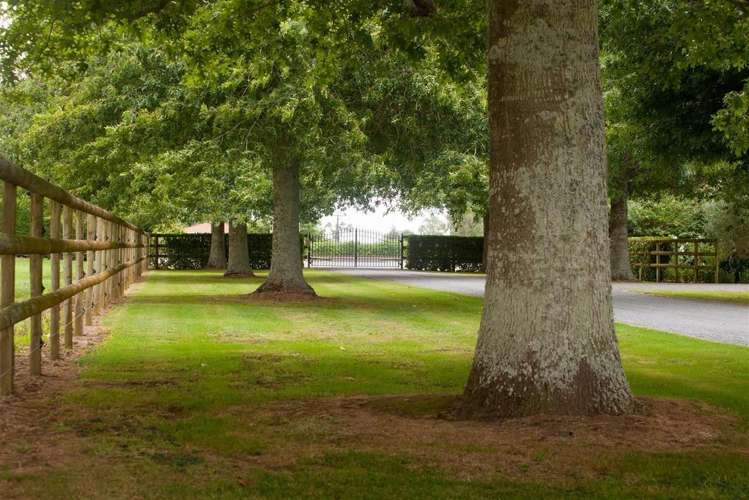 7567 State Highway 27 Matamata_10