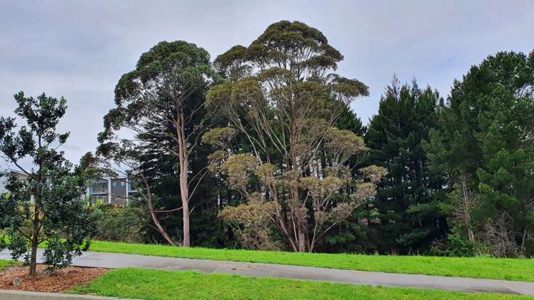 41 Ara Hills Drive Wainui_11