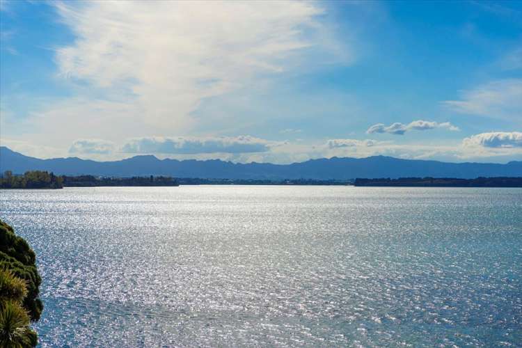 117 Matua Road Matua_17