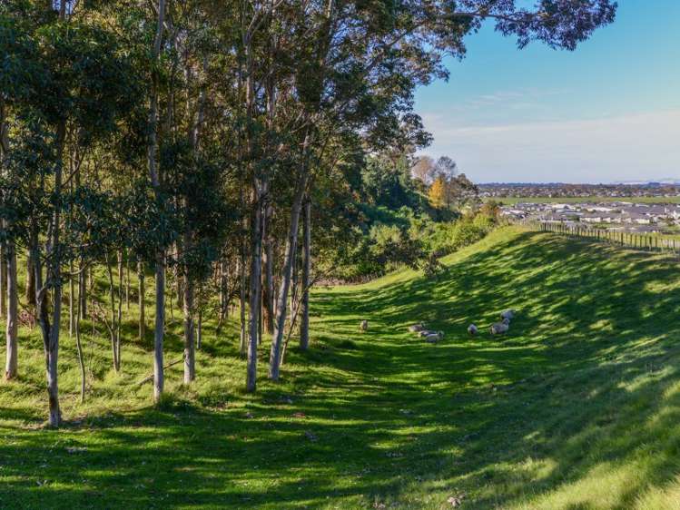 118 Puketitiri Road Poraiti_12