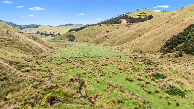 1295 Marokopa Road Marokopa_11