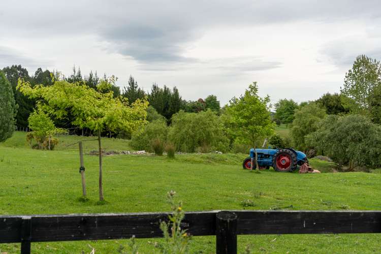 117 Lees Pakaraka Road Masterton_5