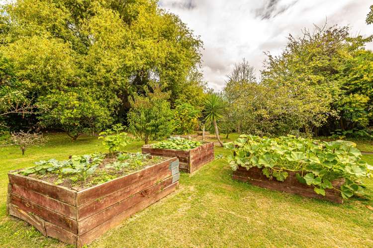 14a Burmah Street Aramoho_17