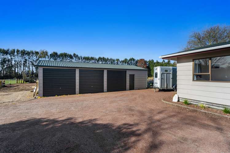 24 Willow Lane Edgecumbe_15