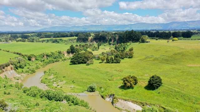 136 Weber Road Dannevirke_1