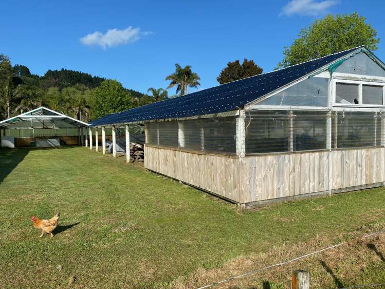 798 Woodcocks Road Kaipara Flats_6