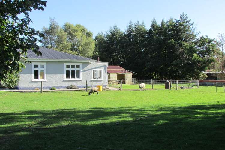 155 Roxburgh Street West Otago Surrounds_15