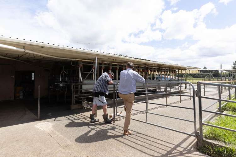 503 Puhipuhi Road Whakapara_27