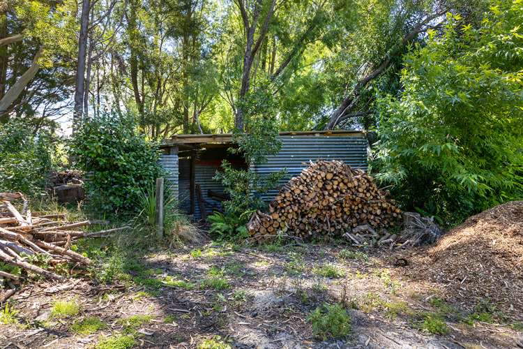 724 Norfolk Road Upper Plain_16