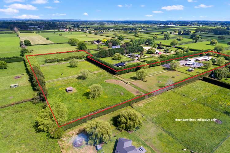 179 Hautapu Road Pukemoremore_18