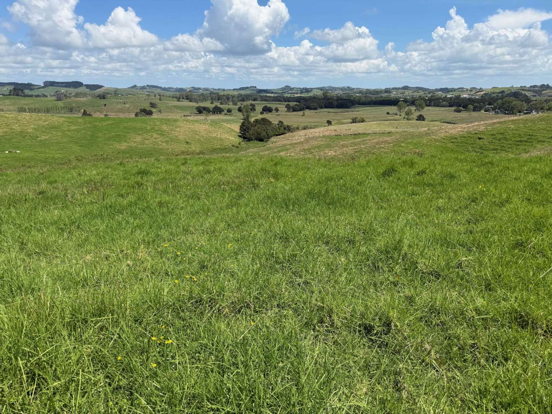 860 Kaiwaka Mangawhai Road Kaiwaka_0