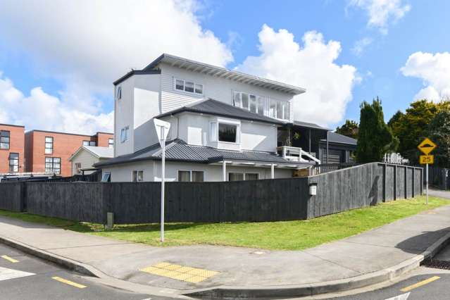 56 Freeland Avenue Mount Roskill_3