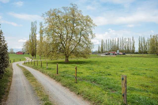 131 School Road Te Aroha_3