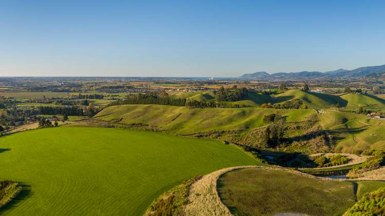 65 Higgins Road, Falcon Ridge Estate Brightwater_12